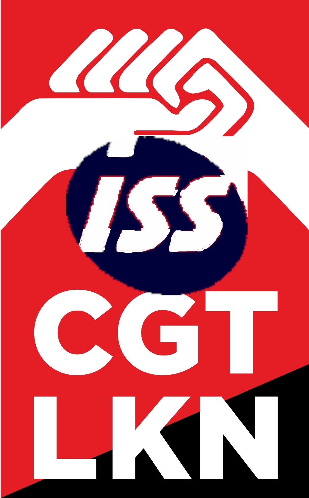 logo cgt-lkn euskadi ISS