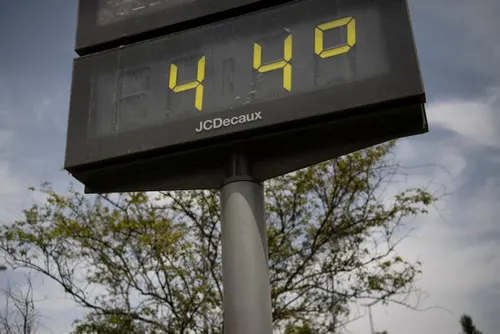 calor estrés termico